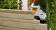 Marshalls Cromwell Copings Buff 600 x 50mm Marshalls Cromwell Copings Buff 600 x 50mm